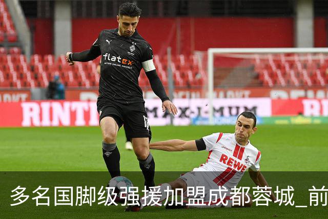 多名国脚级强援加盟成都蓉城 前场还有进人空间